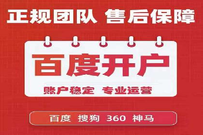 SEM公司案例研究：数据驱动营销策略